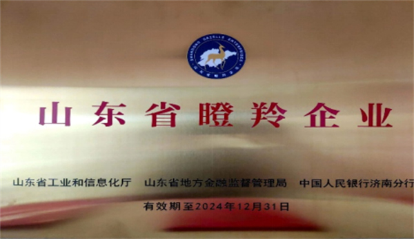 庆祝深蓝机器荣获山东省2021年度“瞪羚企业”荣誉称号 庆祝深蓝机器荣获山东省2021年度“瞪羚企业”荣誉称号